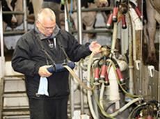 Man examining milking equipment